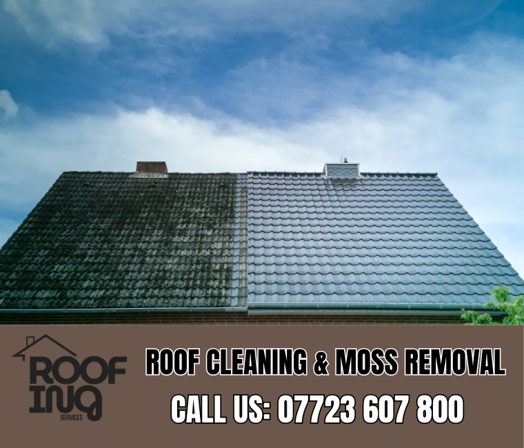 Roof cleaning and moss removal in Charlestown